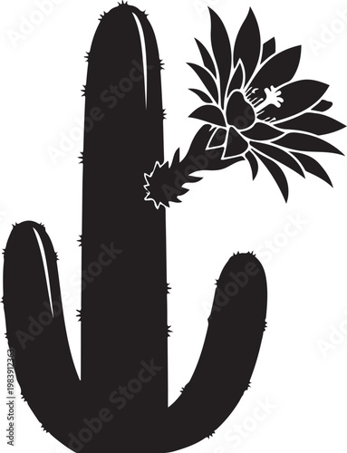 Black cactus with flower white plant