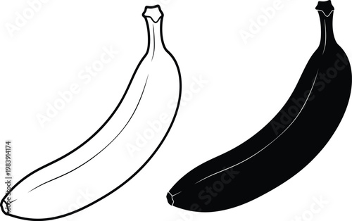 Two bananas a contrast in ripeness black and white illustration