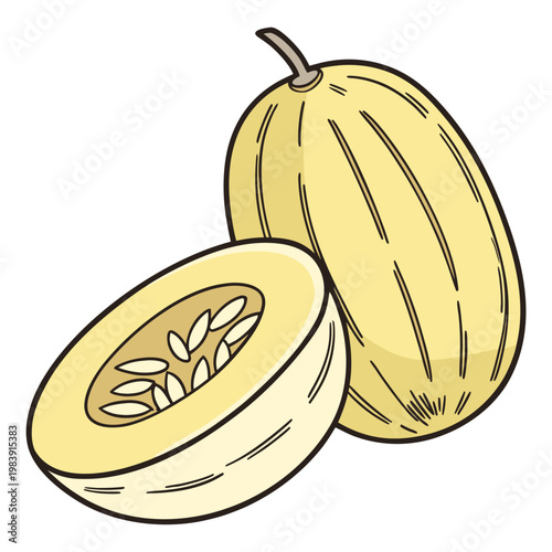spaghetti squash on white background
