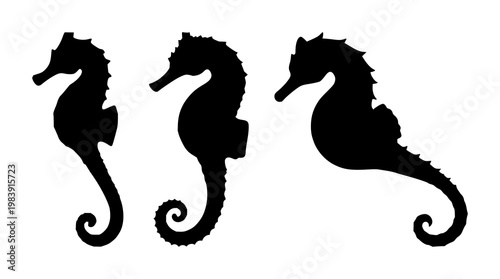Seahorse set with black silhouette on bright white background featuring marine life, sea creatures, aquatic fauna with underwater imagery and silhouette art