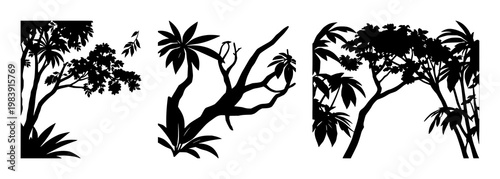 Rainforest canopy icon set with solid black icon on white background featuring trees, foliage, conservation with silhouette and canopy