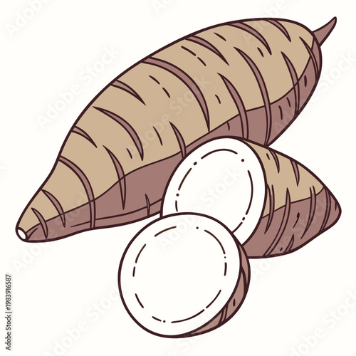 oca tuber on white background