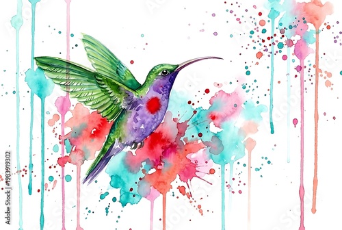 vibrant colorful hummingbird digital illustration art design