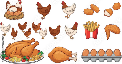 Chicken, Eggs, and Fried Food Vector Set Featuring Hens, Eggs, and Delicious Chicken Dishes for Food and Farm Illustrations
