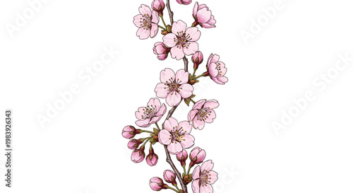 Pink cherry blossoms, floral branch, spring flowers, vector illustration, blossoming tree