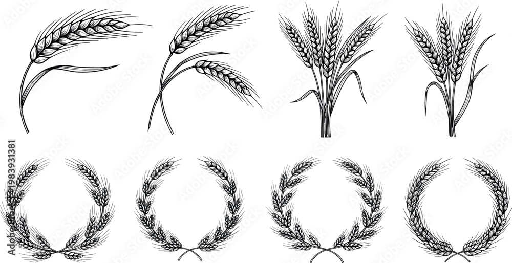 Fototapeta premium Wheat Stalk and Wreath Collection, Hand-Drawn Illustrations of Wheat Grain and Decorative Wheat Laurel Wreaths