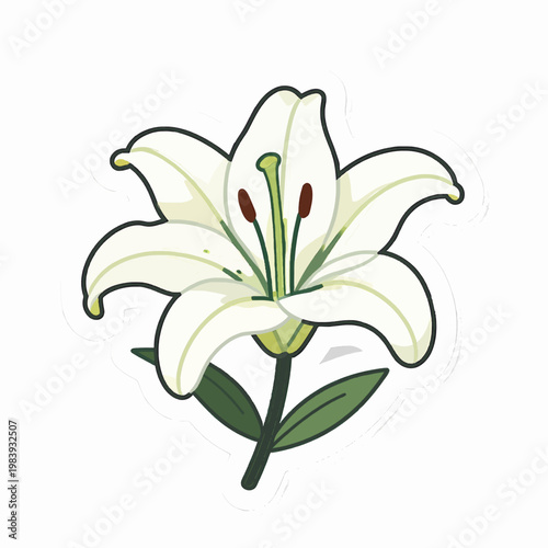 Minimalist flat vector illustration of a single blooming white lily flower with green leaves, elegant floral nature concept for spring and wedding design isolated on white background.