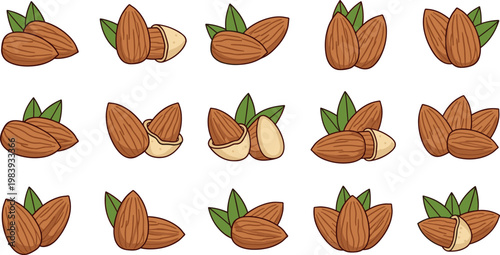 Almond Nuts Collection, Vector Illustrations of Whole and Cracked Almonds with Leaves, Fresh and Natural Design