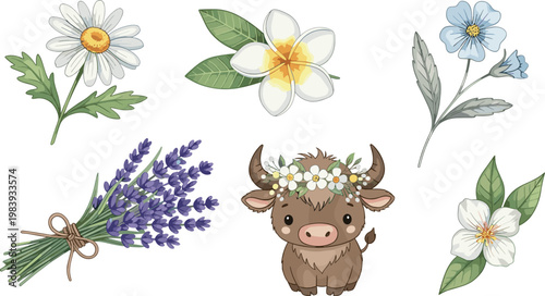 Cute baby cow with floral elements collection including lavender daisy and tropical flowers botanical vector illustration set