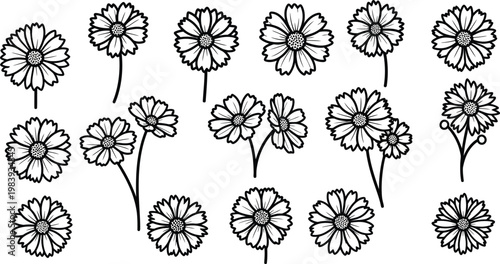 Obraz na plátně Black and white daisies on white background flowers floral