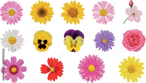 Colorful flower set with various blooming garden plants including daisy rose pansy and sunflower isolated vector illustration collection