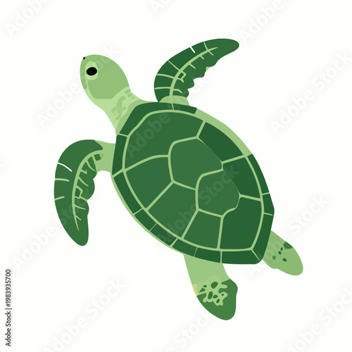 Minimalist flat vector illustration of a single green sea turtle swimming upwards, marine life concept, isolated on white background, featuring organic shapes and a natural earth-tone color palette.