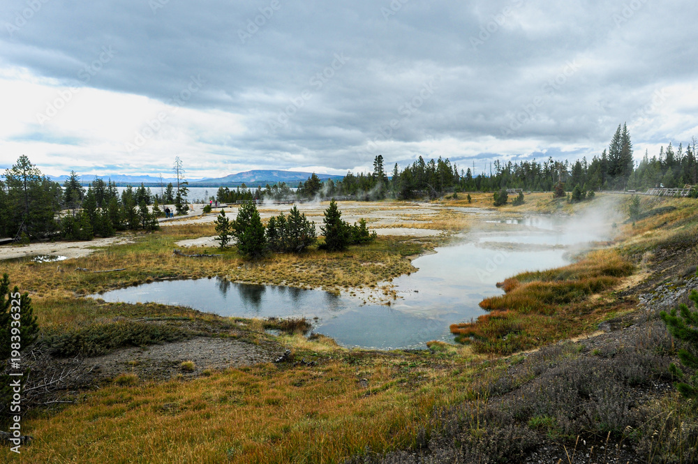 Obraz premium Norris Geyser Basin Landscape 