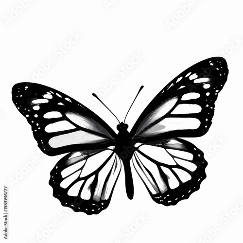 Minimalist Black Monarch Butterfly Silhouette Vector Illustration, Elegant Single Insect Winged Graphic Isolated on White Background for Nature and Conservation Concepts