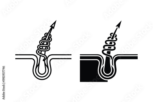 Cross-section of hair follicle showing healthy versus damaged hair shaft in flat design vector illustration