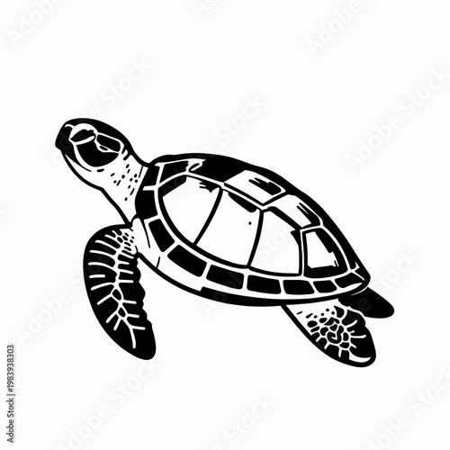 Minimalist black and white flat vector illustration of a single sea turtle swimming, featuring hand-drawn ink style with intricate shell details, isolated on white background for marine life concept.