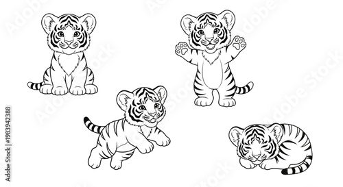 Four adorable tiger cubs in playful poses black and white illustration cute animals