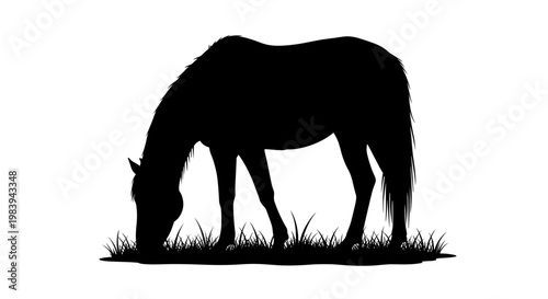 Silhouette of a horse grazing peacefully in a meadow, with detailed grass outlines and a simple white background