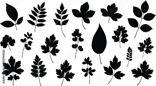 Black Leaf Silhouettes on White Background