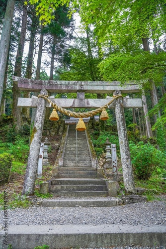 日本の伝統的な神社の石鳥居と注連縄。新緑の森へと続く石段の風景