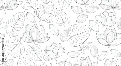 Botanical Sketch of Lotus Flowers and Leaves, Elegant Floral Pattern Design on White Background