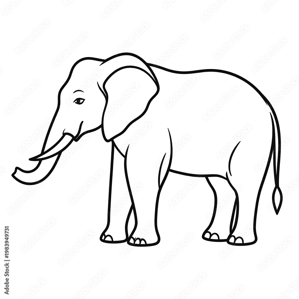 Fototapeta premium Outlined illustration of an elephant with tusks, trunk, and large ears, on white background