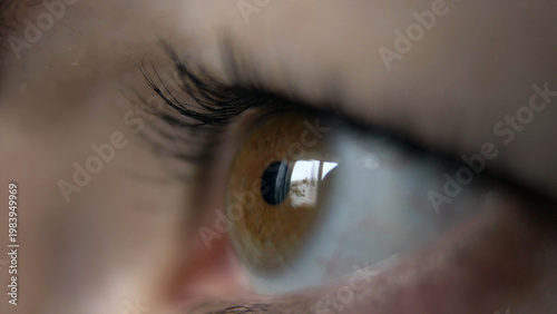 eye of a woman side view, reflection of a window, brown eyes, macro shoot