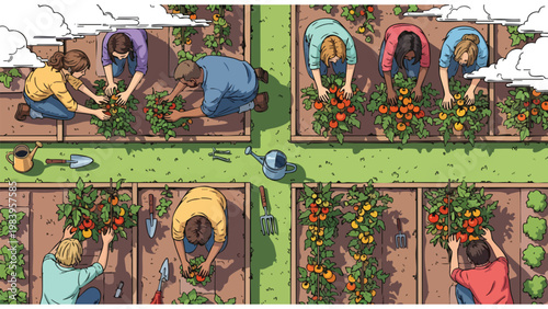 Diverse Community Gardeners Harvesting Fresh Tomatoes, Sustainable Urban Farming