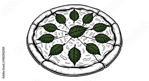 Illustration of delicious italian pizza with basil leaves and mozzarella cheese on white background in vintage woodcut style.
