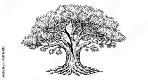 Magnificent ancient tree with sprawling branches and detailed roots, symbol of life and nature, majestic woodland, beautiful park illustration.