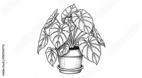 Philodendron houseplant in clay pot vintage woodcut engraving style floral indoor garden decoration isolated vector image.