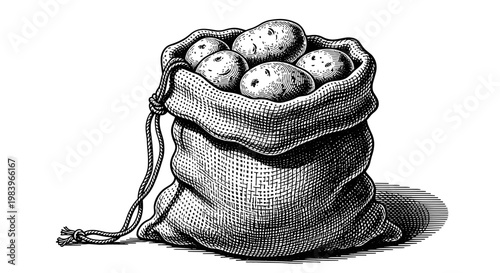 Rustic sack of raw potatoes hand drawn crosshatch engraving style for organic farm produce market and agriculture marketing.