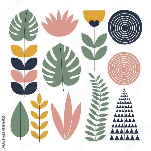 Colorful illustration of various leaves 1.