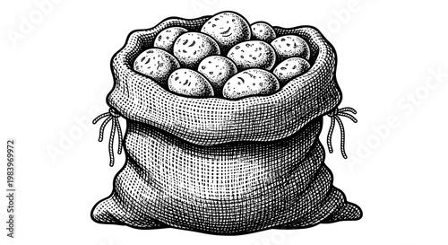 Vintage style engraving of burlap sack full of raw potatoes isolated on white background with detailed hatch line texture.