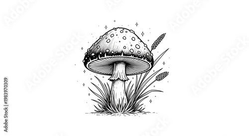 Whimsical mushroom in lush green grass with delicate wheat stalks and sparkling stars illustration.