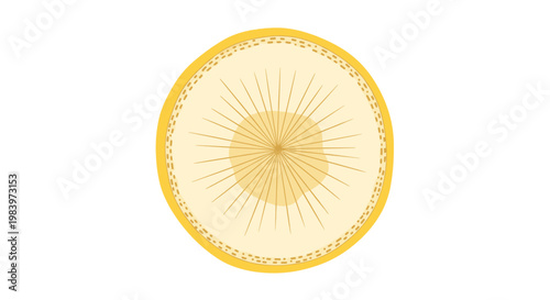 Circular illustration of a fruit cross section or a tree trunk with concentric rings and fine lines from the center area.