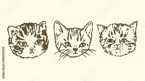 Three stylized cat faces with striped fur domestic portrait illustration engraving monochrome stylized adorable whiskers collection minimalist character creature companion
