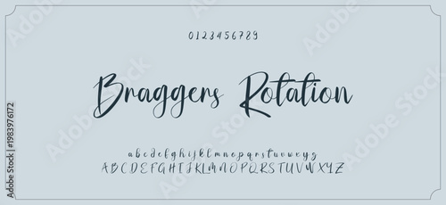 Hand drawn vector alphabet. Modern monoline signature script font. Elegant Signature Font. Best Alphabet Beautiful Calligraphy Signature Font