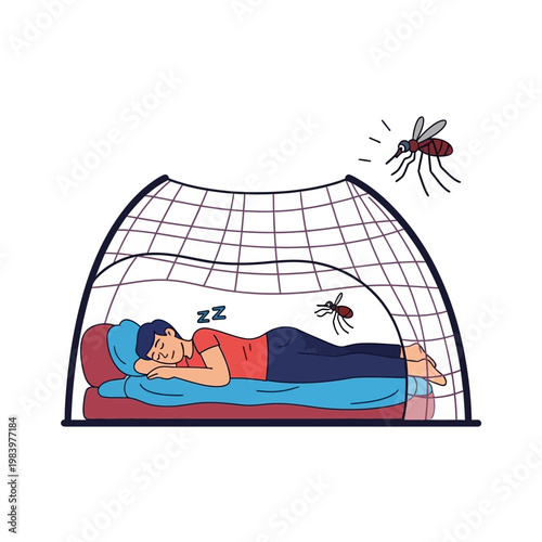 Mosquito Protection with Netting for Safe Sleeping