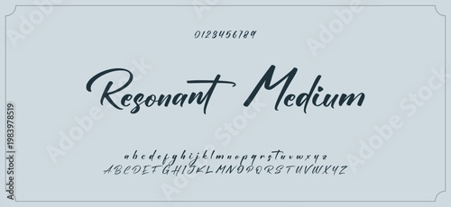 Hand drawn vector alphabet. Modern monoline signature script font. Elegant Signature Font. Best Alphabet Beautiful Calligraphy Signature Font