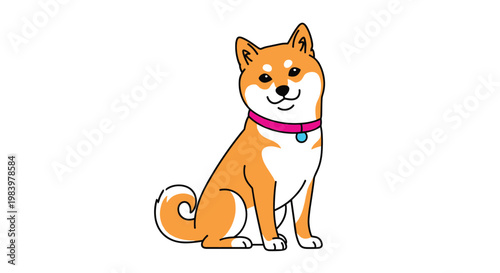 Cute shiba inu dog with an orange and white coat is sitting calmly and wearing a bright pink collar with a small blue tag as a pet mascot.