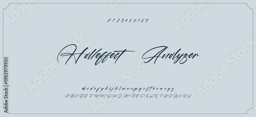 Hand drawn vector alphabet. Modern monoline signature script font. Elegant Signature Font. Best Alphabet Beautiful Calligraphy Signature Font