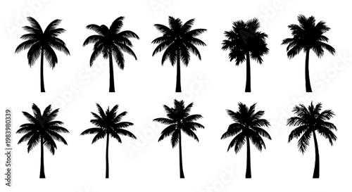 collection of black silhouette palm trees on a white background