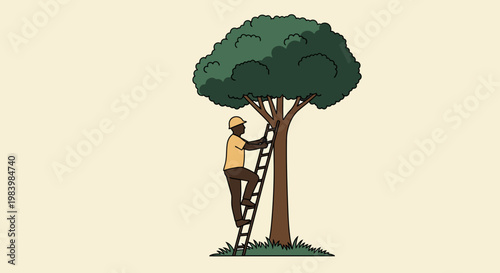 Man in agriculture harvesting fruit from tree on ladder outdoors