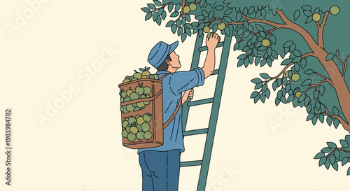 Man picking oranges from tree for fruit harvesting in agriculture field
