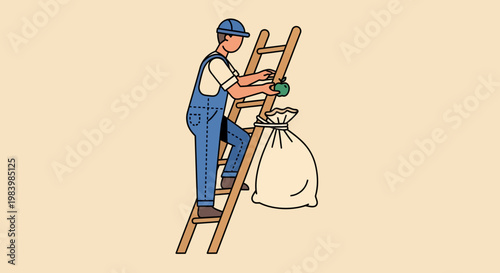 Man engaged in agriculture activity of fruit harvesting on a ladder