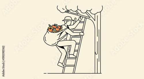 Man climbing ladder harvesting apples from tree in orchard environment