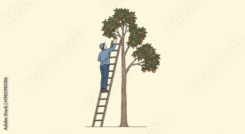 Man picking oranges from tree on ladder in garden outdoors