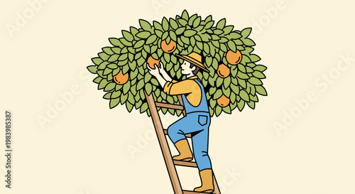 A farmer picks oranges from a tree on a ladder in an orchard scene.