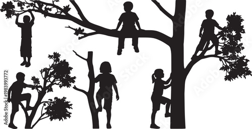 Kids Climbing Trees and Sitting on Branches